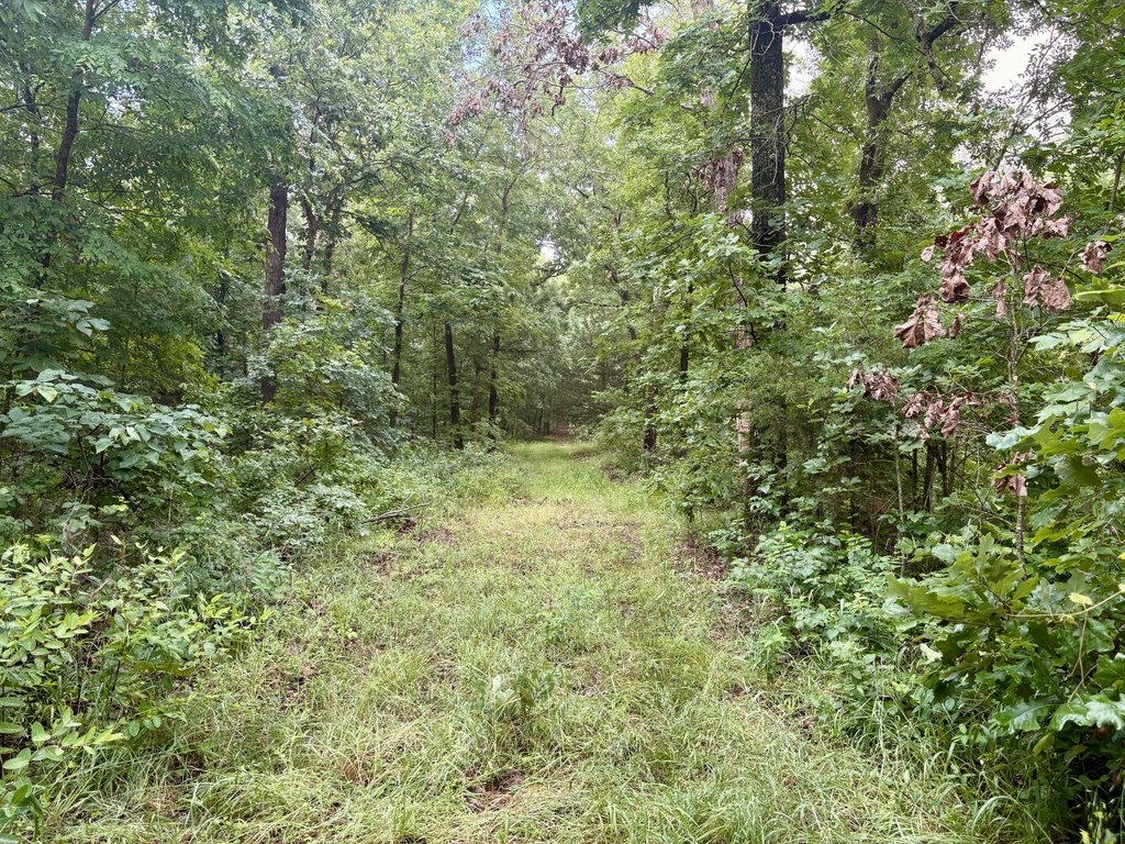 Picture 17
