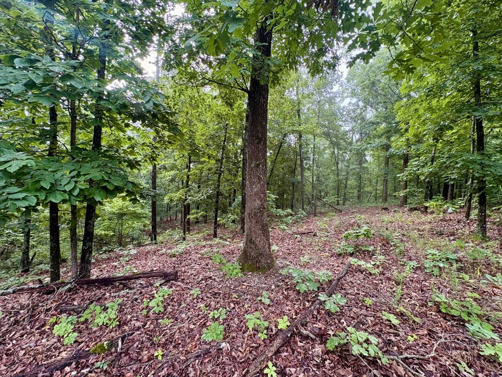 Picture 16