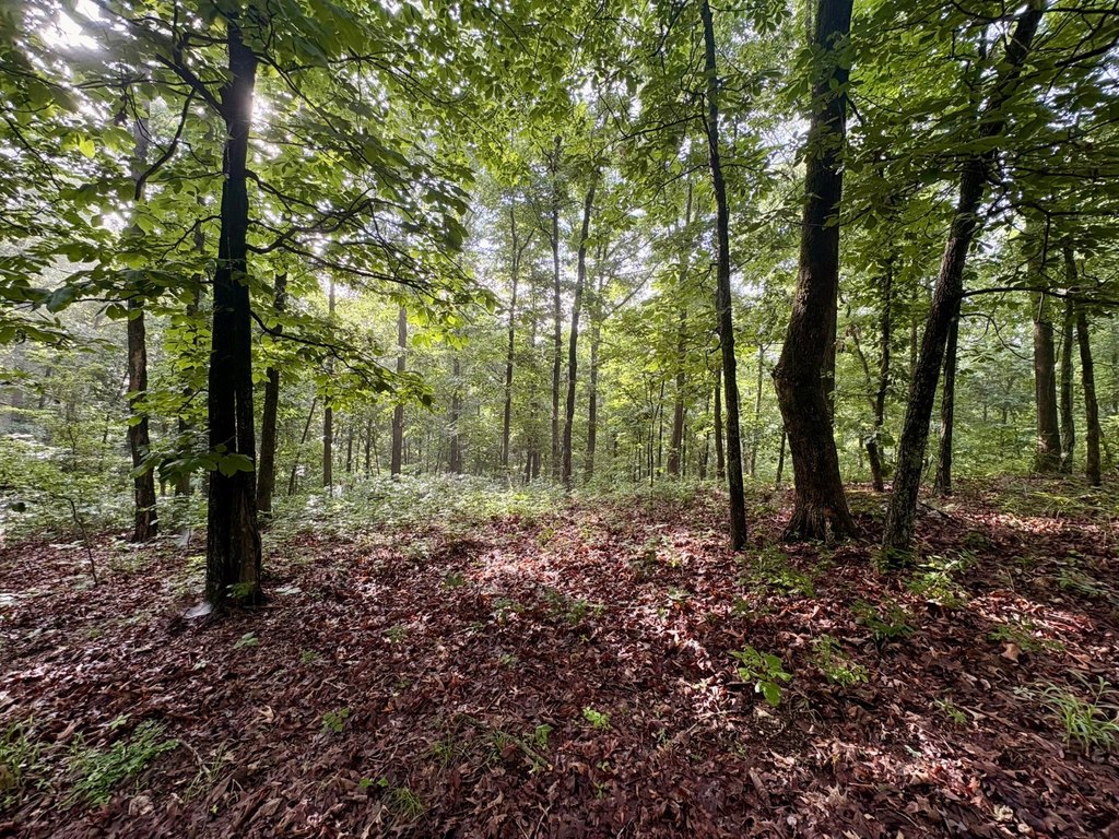 Picture 23