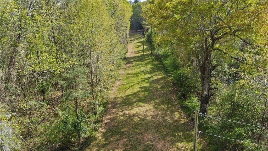 Picture 7