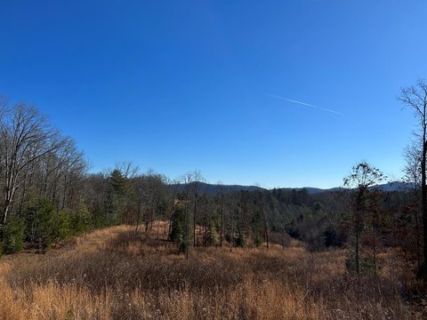 Land For Sale in Murphy