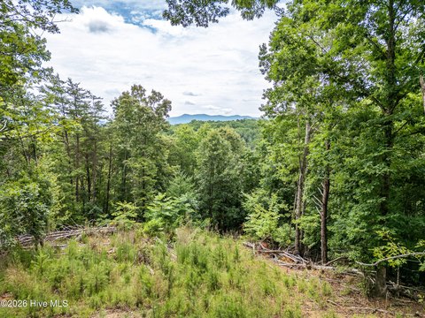 LAND - Brasstown, NC