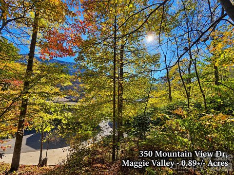 Residential Homesite with Mountain Views