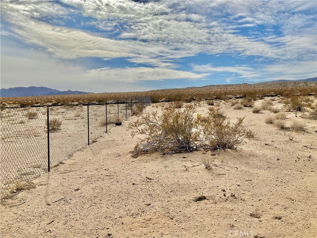 Picture 12