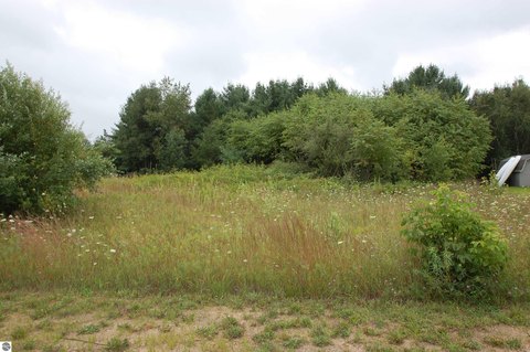 Wooded Lake-Access Lot