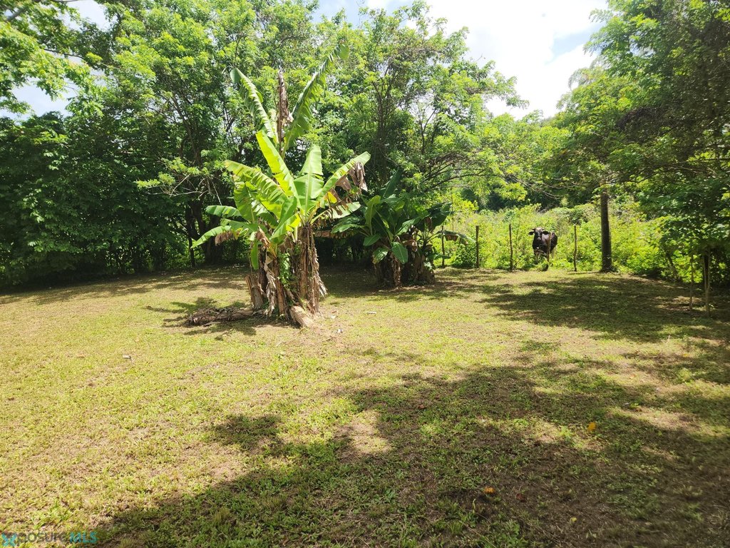 Picture 20