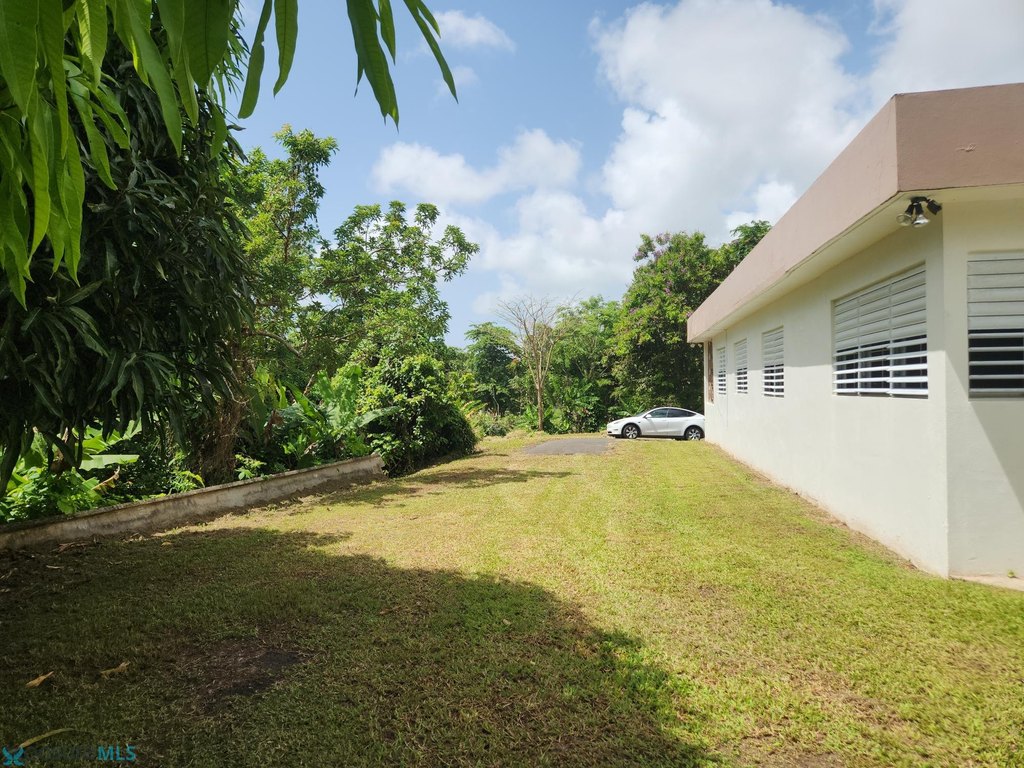 Picture 21