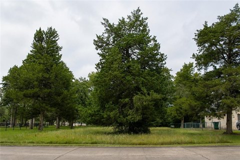 Land, NEW ULM, TX