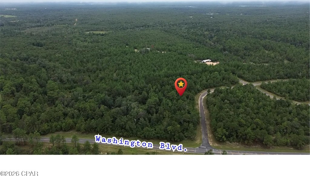 Picture 3