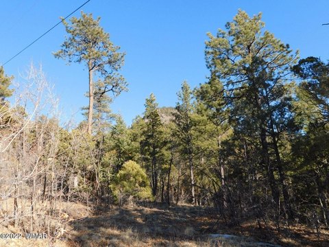 Land Parcel in Nutrioso, AZ