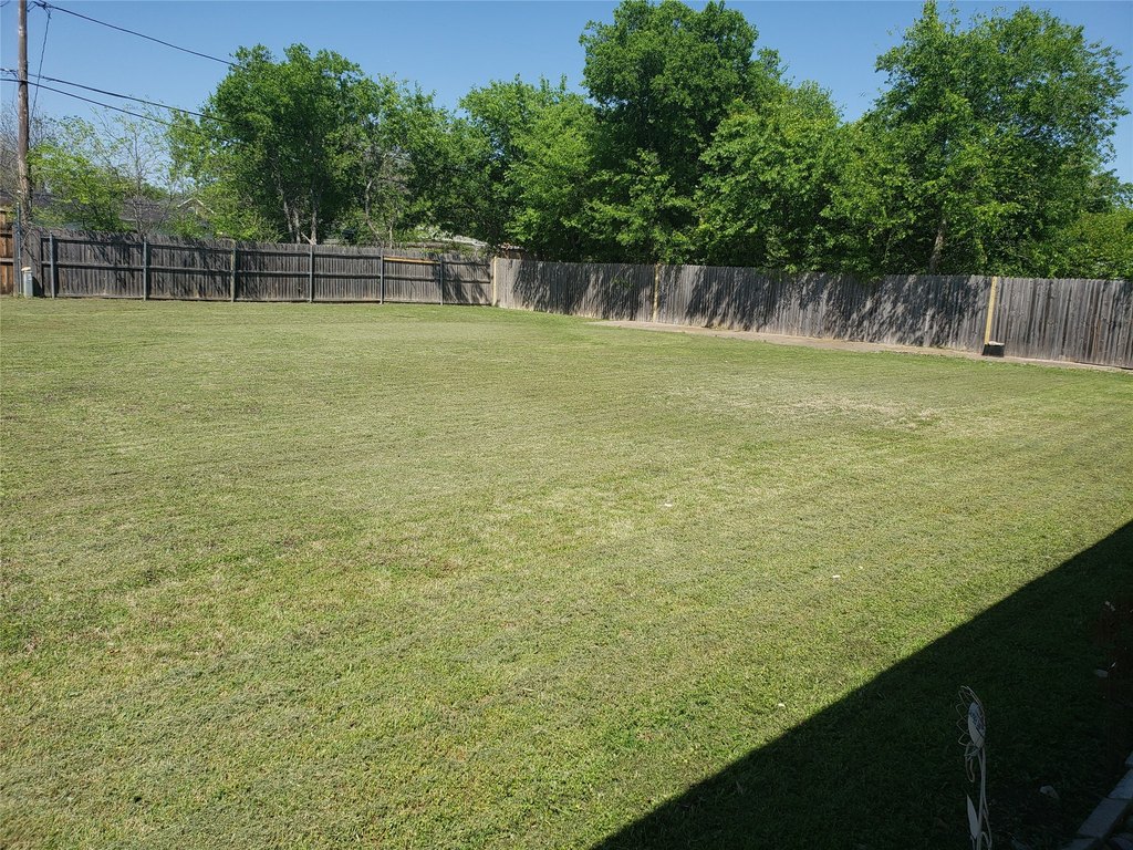 Picture 37