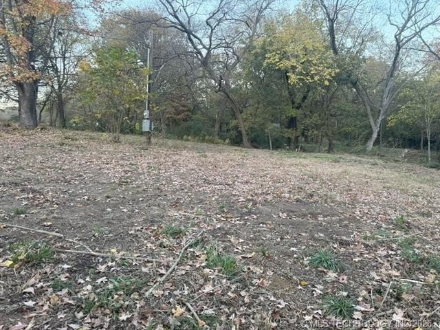 Picture 11