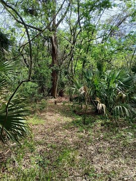 Vacant Lot in DeLand
