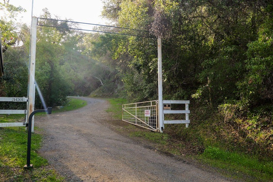 Picture 4