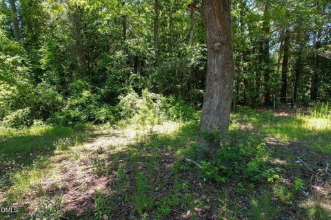 LAND - Fair Bluff, NC
