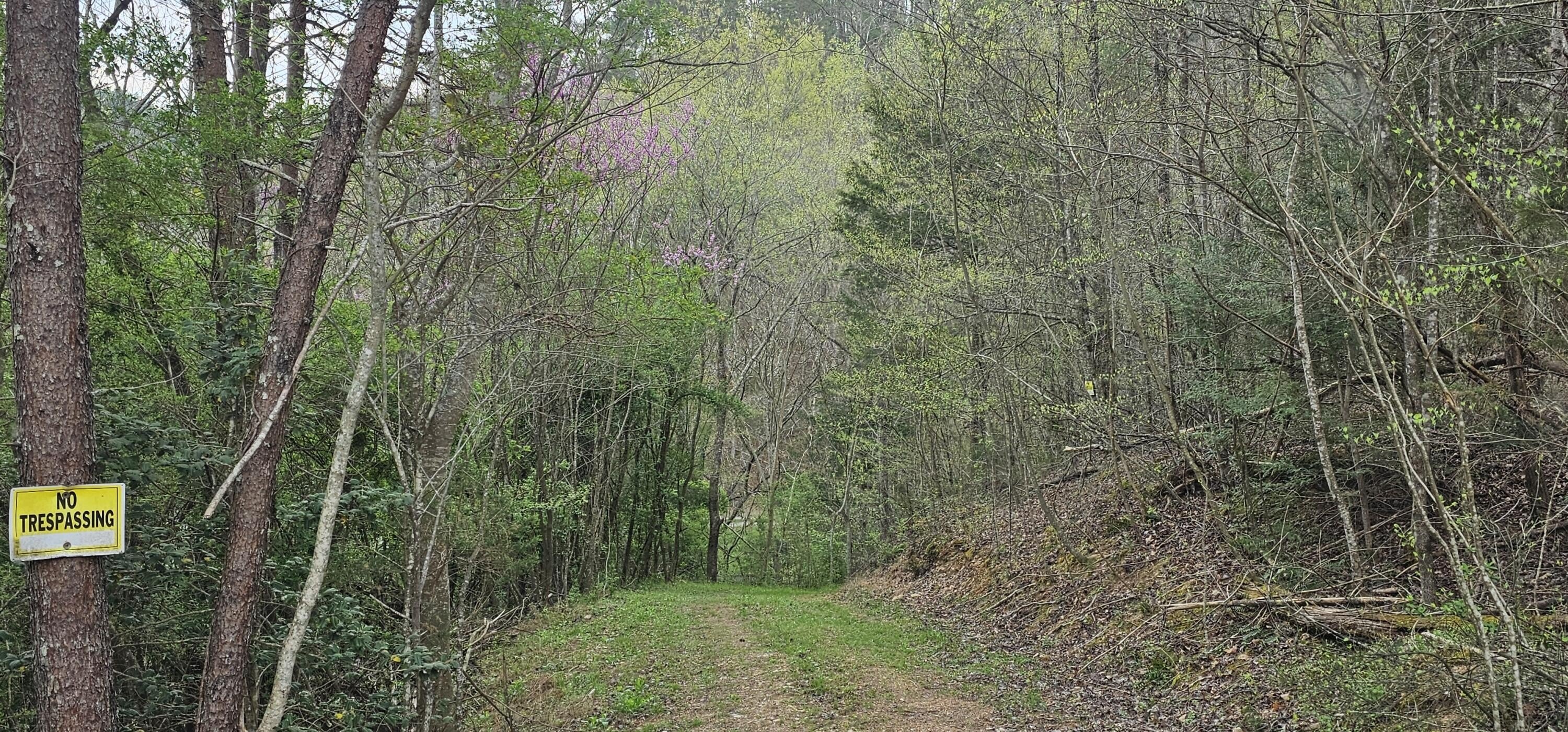 Unrestricted Land Near National Forest