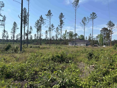 Land in Sheridan, Arkansas
