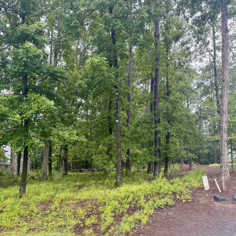 Picture 16