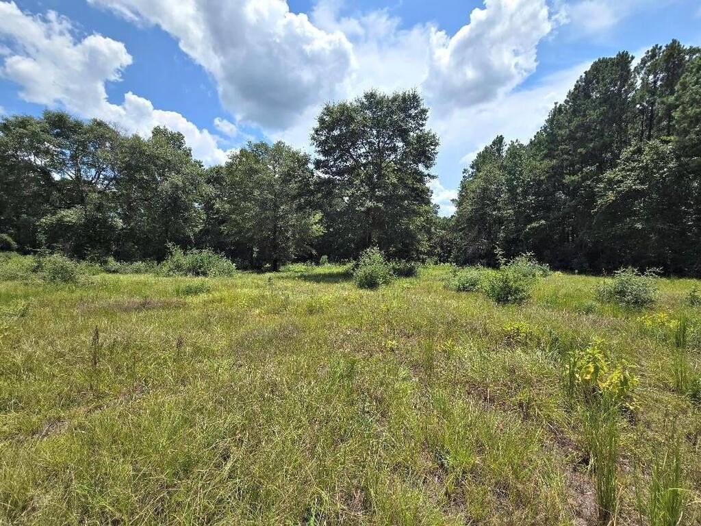 Picture 8