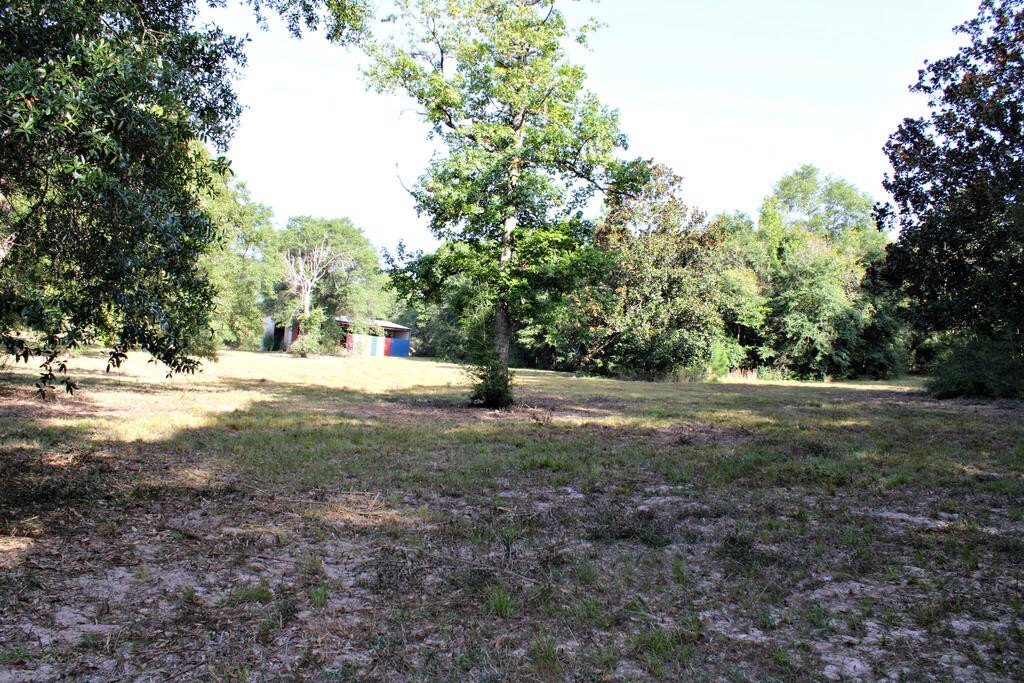 Picture 10