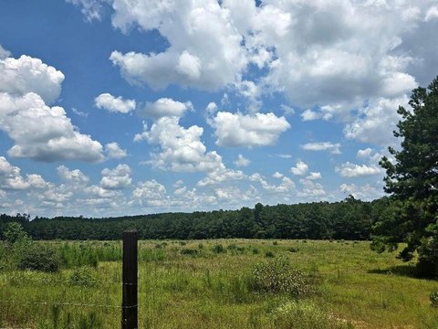 LAND - Jasper, TX