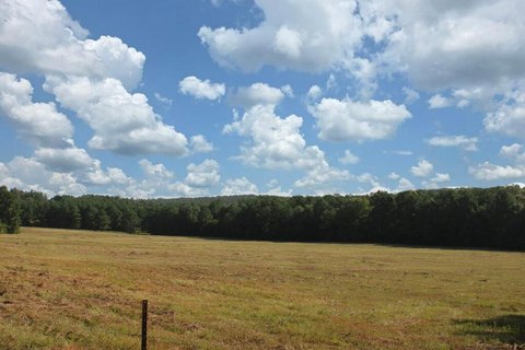 Land, Jasper, TX