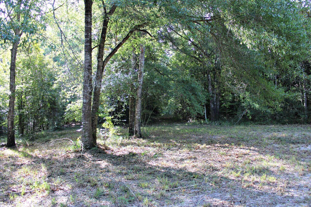 Picture 9