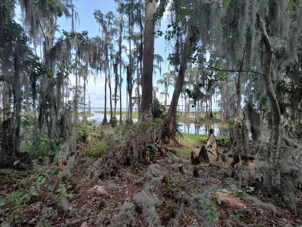 Picture 15