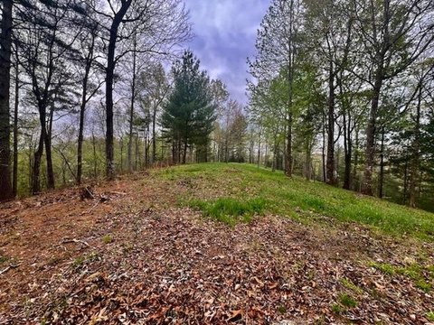 Mountain View Building Lot