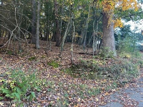 Land, Hughesville, PA