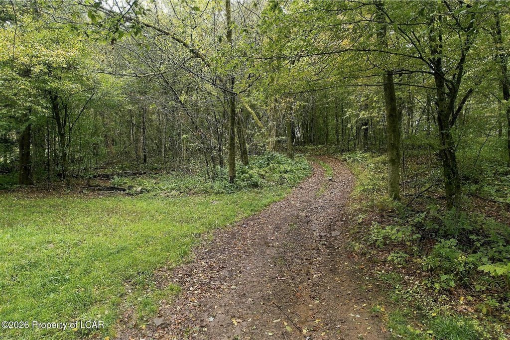 Picture 22