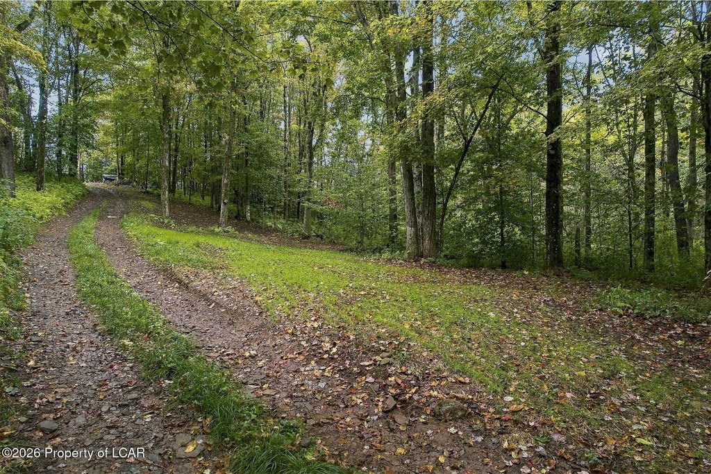 Picture 10