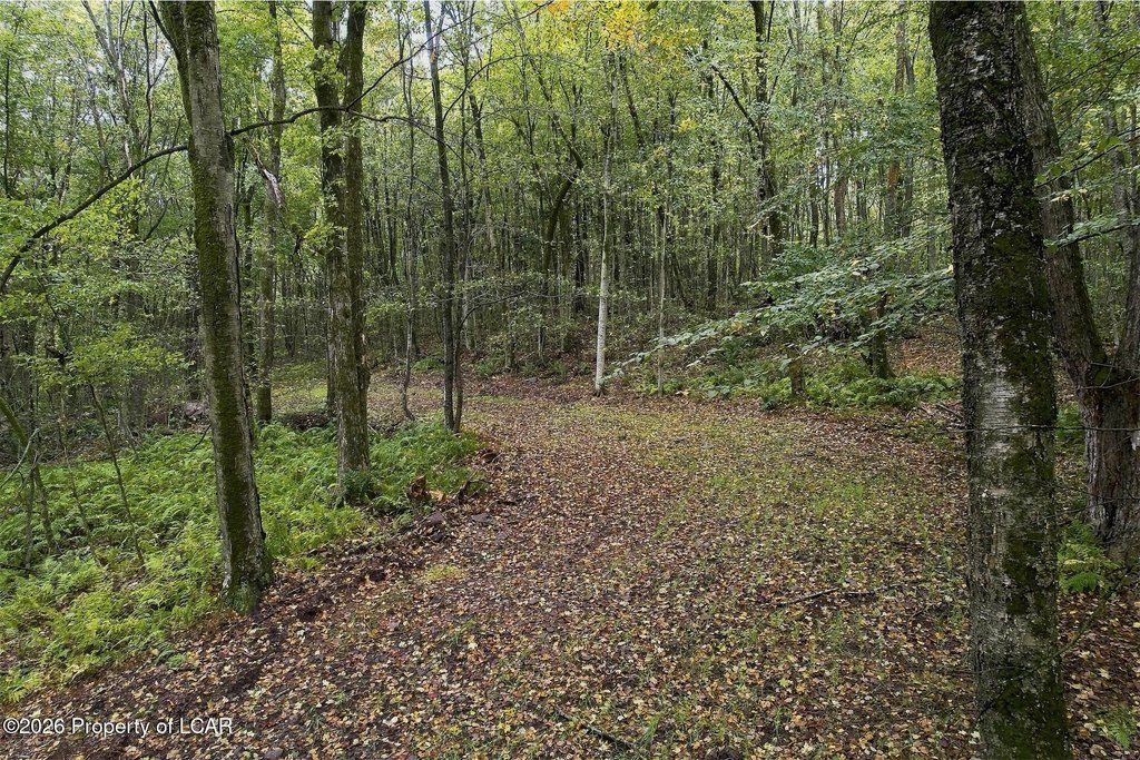 Picture 31