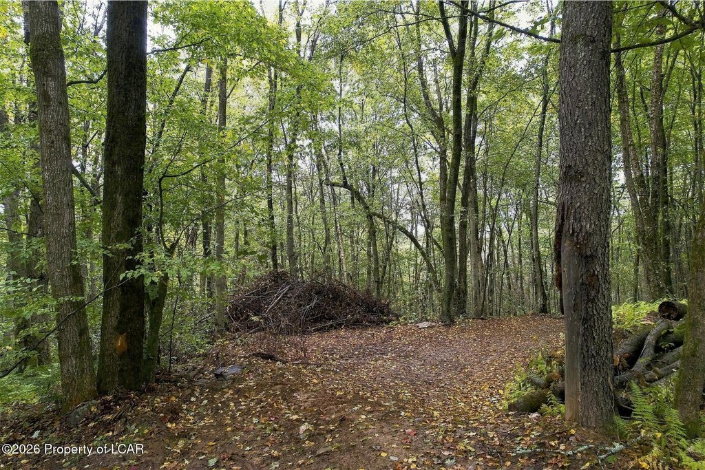 Picture 25