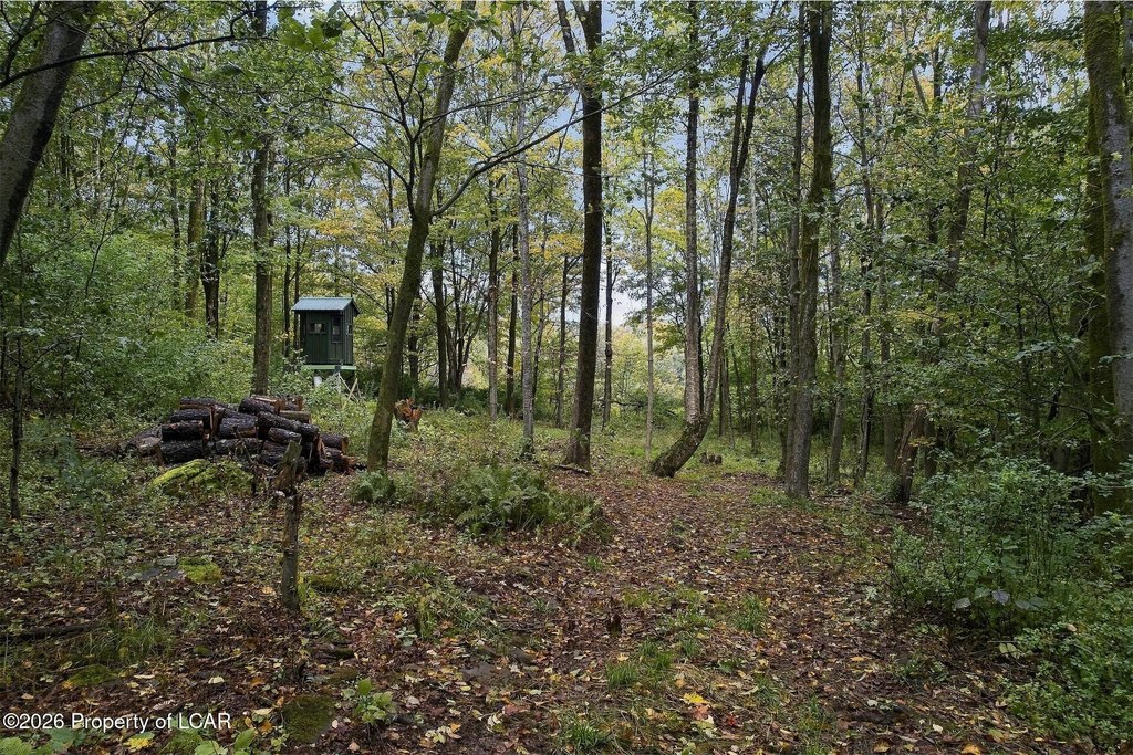 Picture 23
