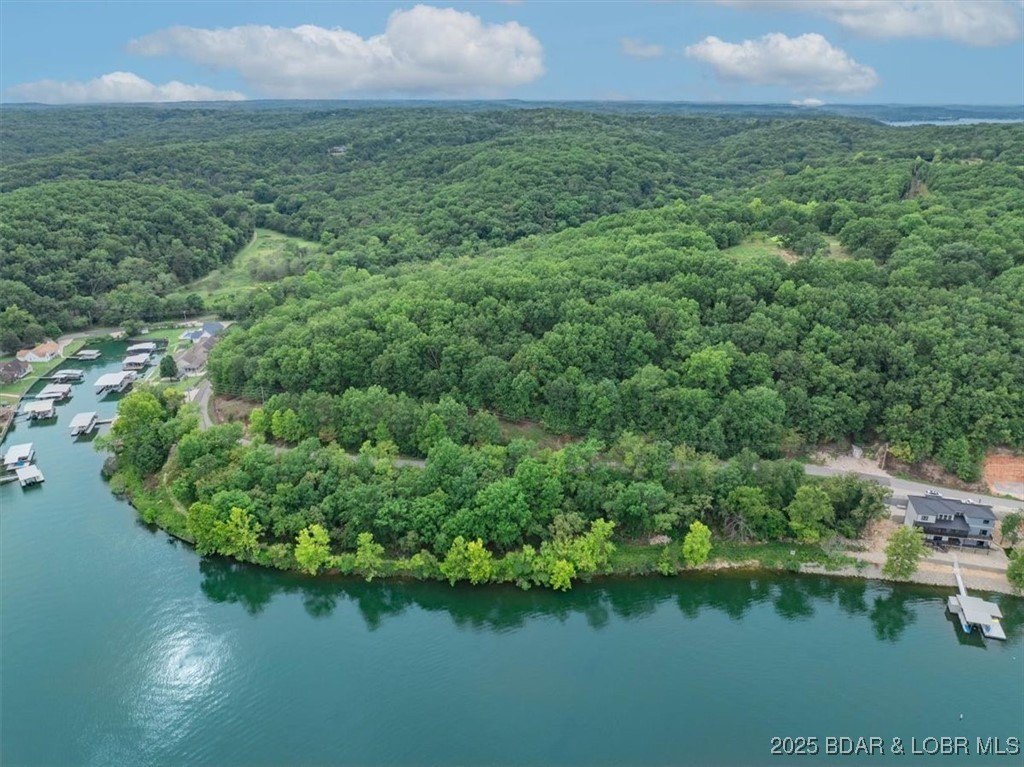 Camdenton Land with Cove Location
