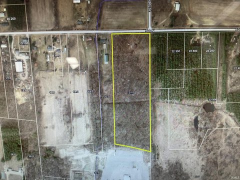 Heavily Wooded Hunting Tract