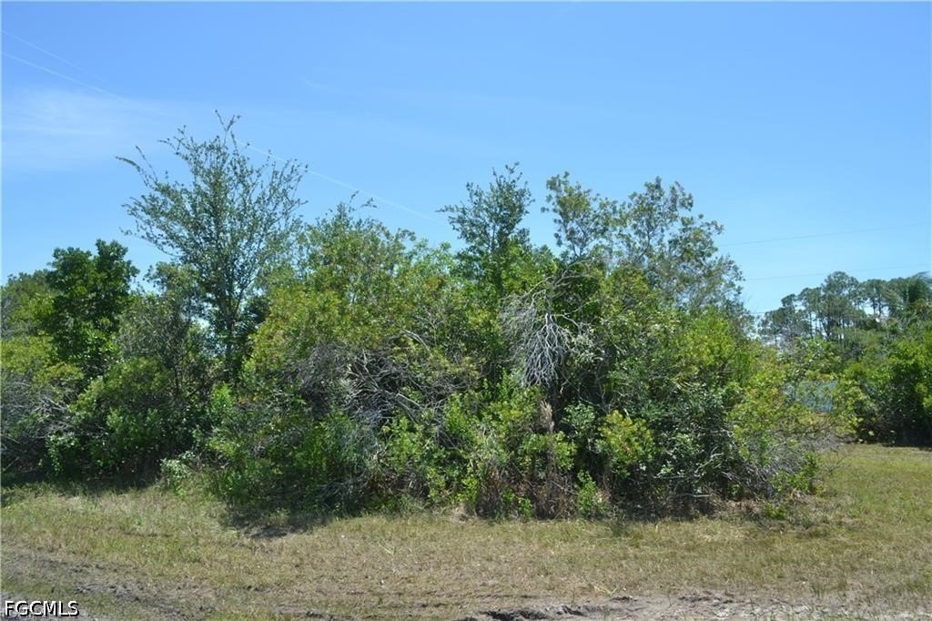 Picture 3