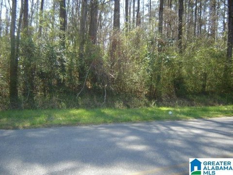 Commercial Land with Road Frontage
