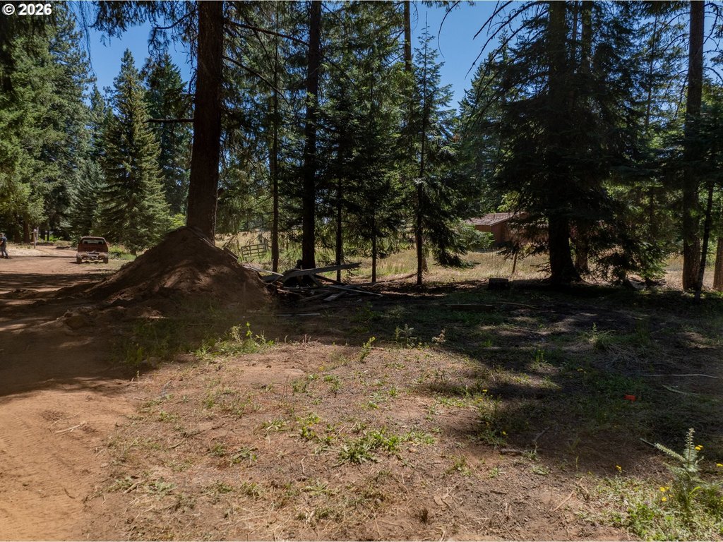 Picture 14