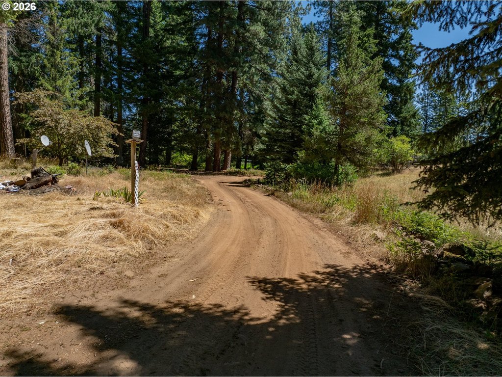 Picture 2