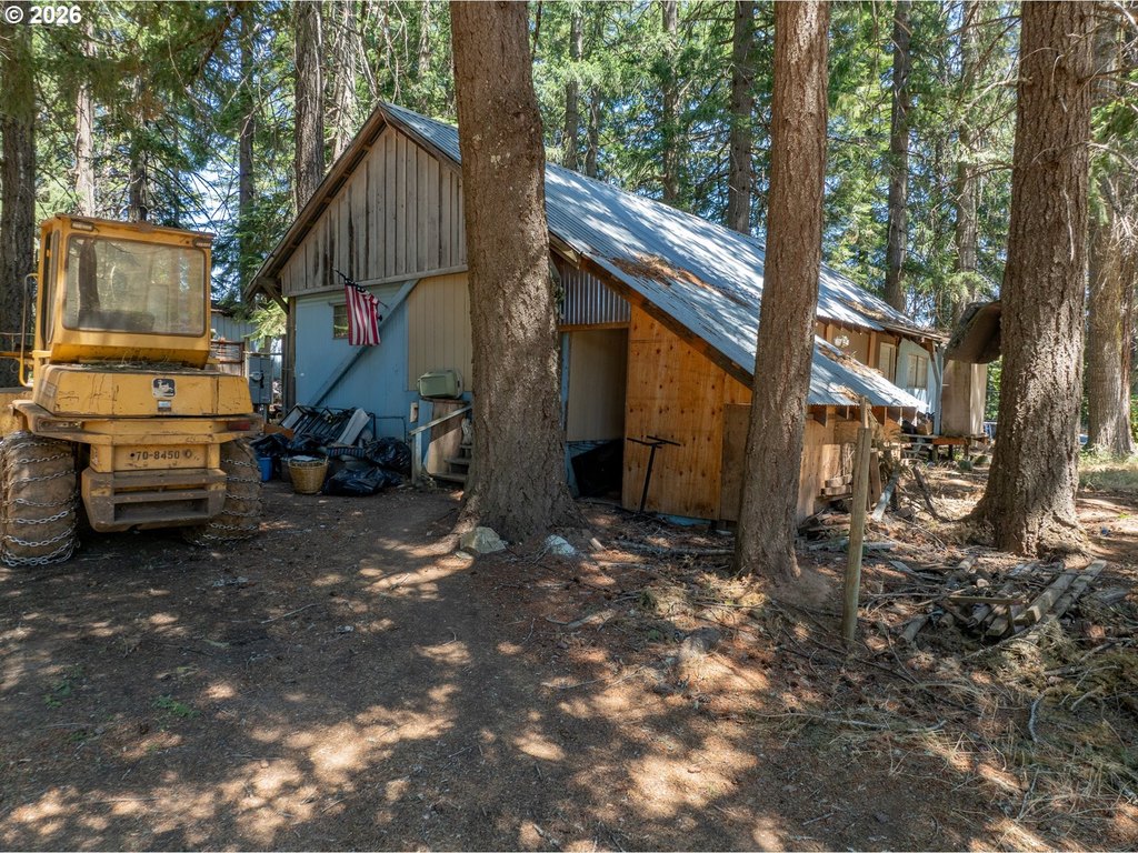 Picture 19