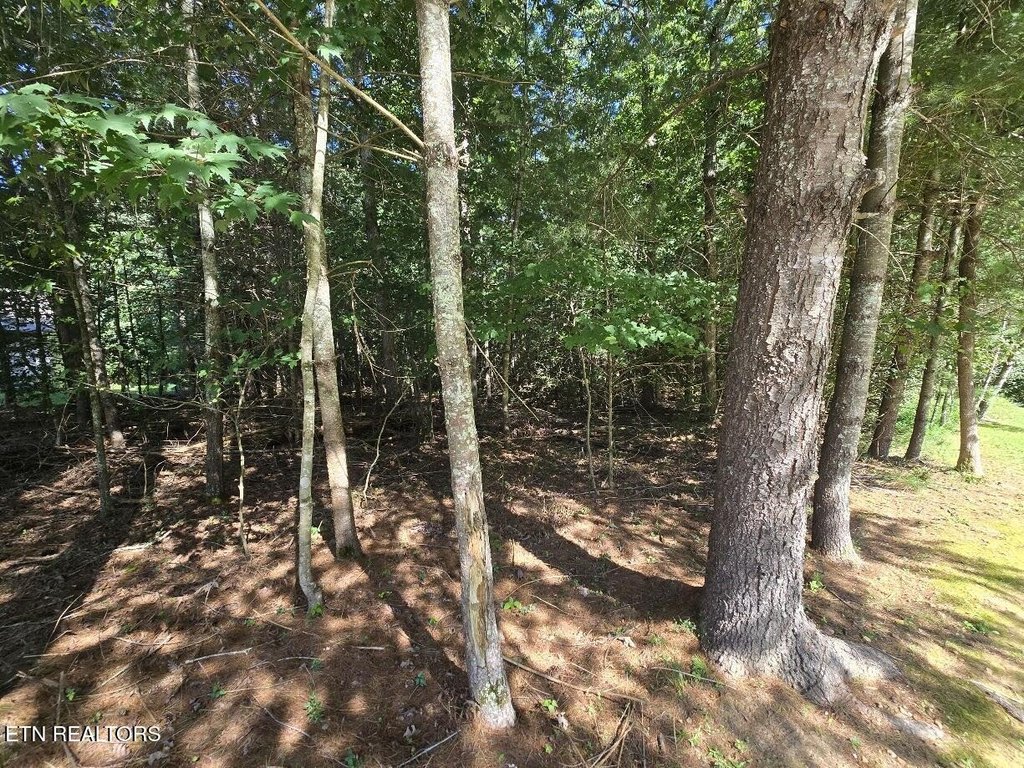 Picture 3
