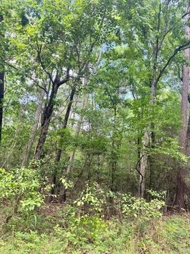 Lakefront Lot in Etoile, TX