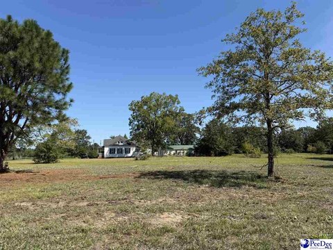 Land, Dillon, SC