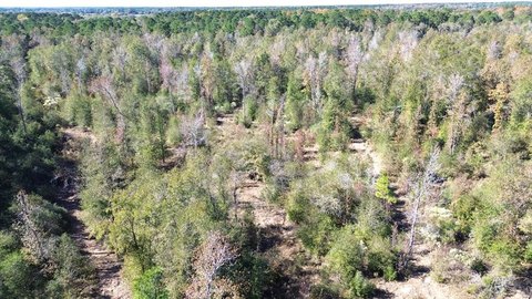 East Texas Recreational Hunting Land