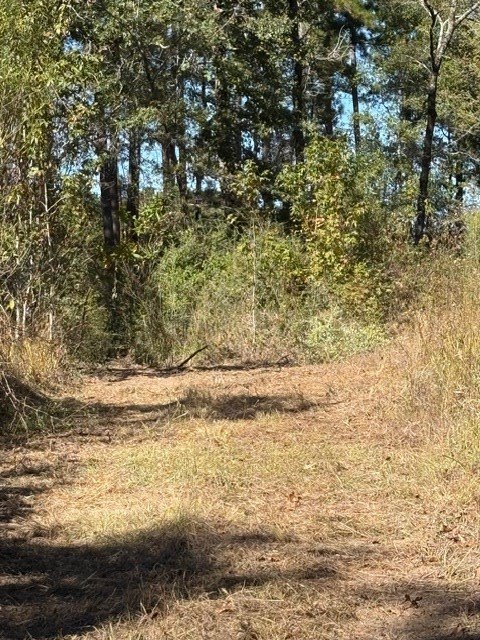 Picture 21