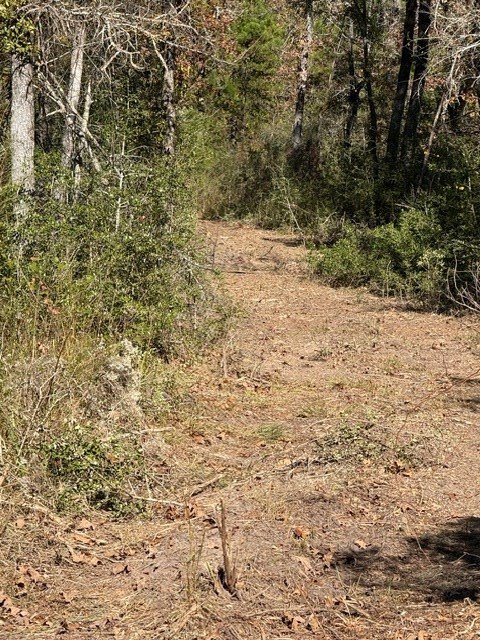 Picture 22