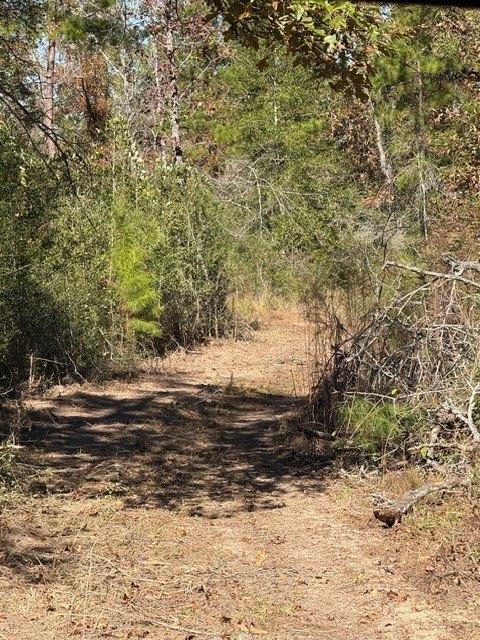 Picture 23