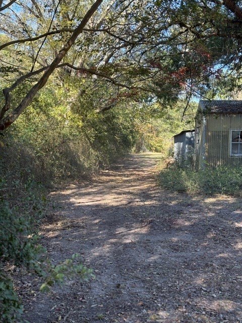 Picture 28
